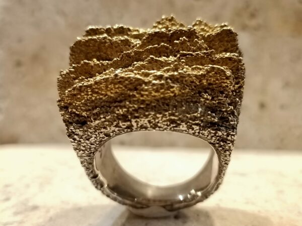 Picture showing a sterling silver ring with gilding.