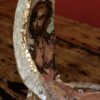 Ceramic shard "Le Baigneur" by Thibaut Renoulet
