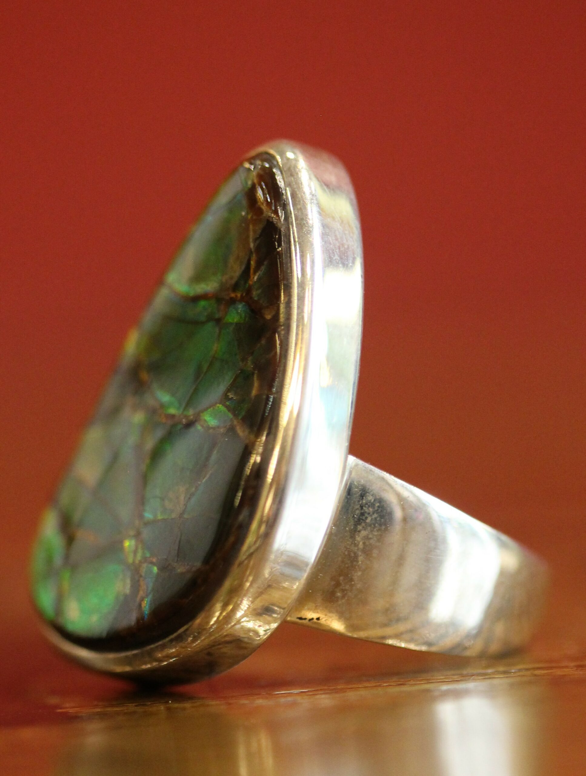 Bague en nacre d'ammonite fossilisée et argent.